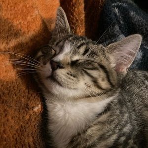 Meet your Posher, Wyatt